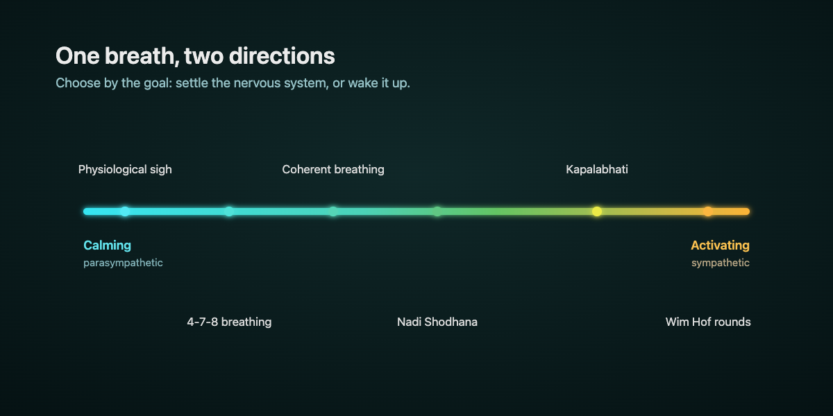 A spectrum of breathing techniques from calming and parasympathetic on the left to activating and sympathetic on the right