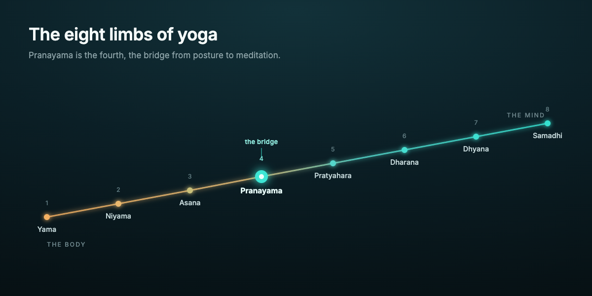 Diagram of the eight limbs of yoga as an ascending path with pranayama highlighted as the fourth limb
