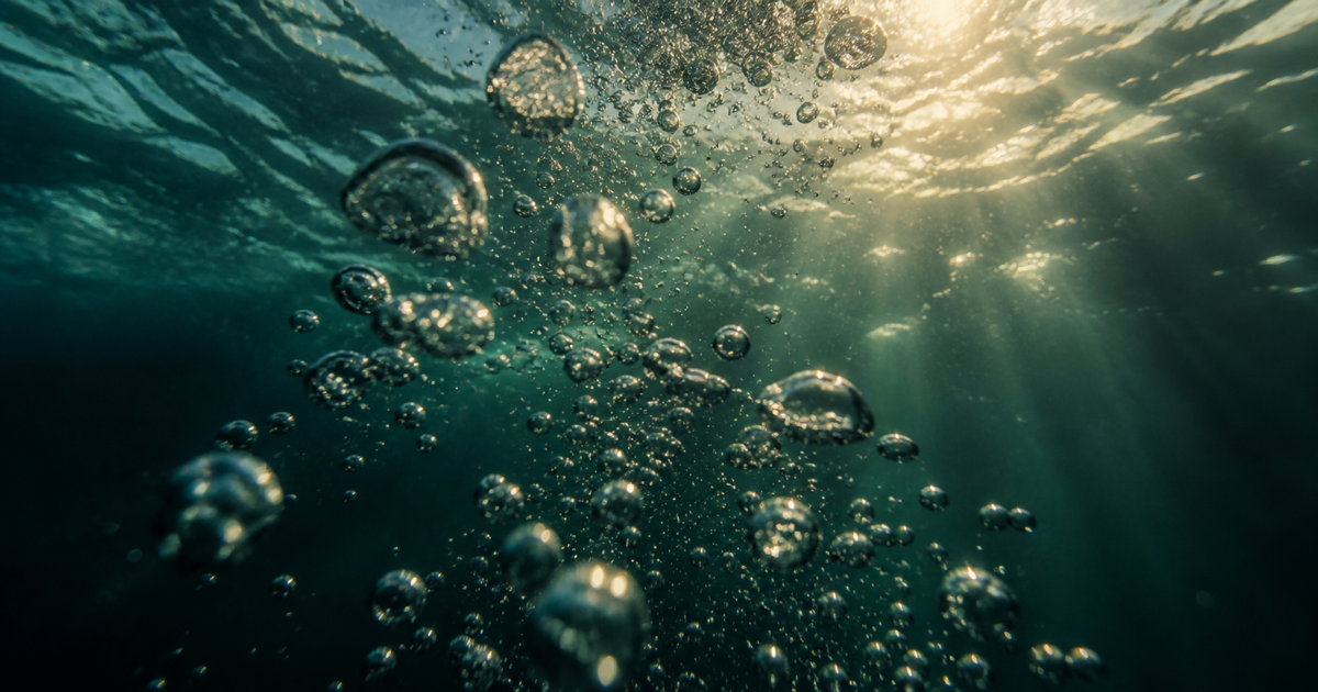 Rising CO2, not falling oxygen, creates the urge to breathe