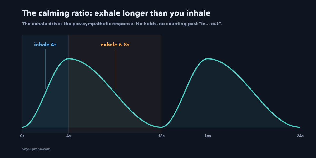 The calming ratio: 4 second inhale, 6-8 second exhale breath curve