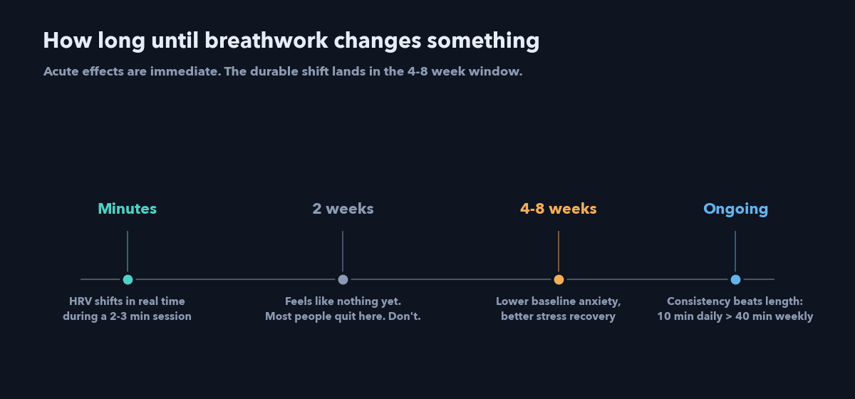 Timeline of breathwork effects from minutes to 4-8 weeks